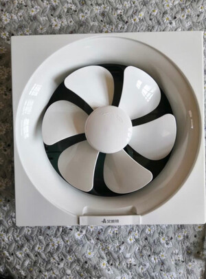 排气扇