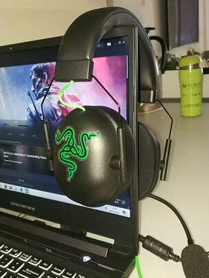 求助揭秘雷蛇（Razer）旋风黑鲨V2怎么样?一个月后质量真相