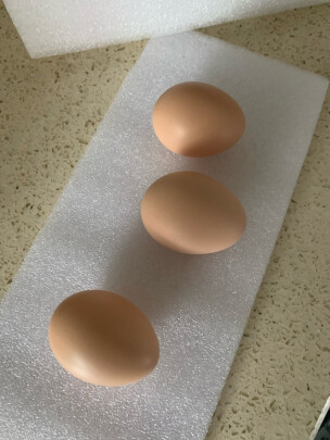 图片[3] - 尝鲜土鸡蛋，散养柴鸡蛋30枚装好不好？ - 淘实惠