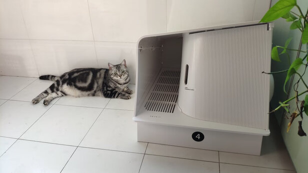 猫砂盆