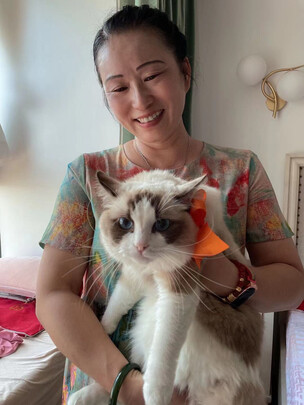 猫粮