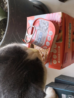 猫粮罐头