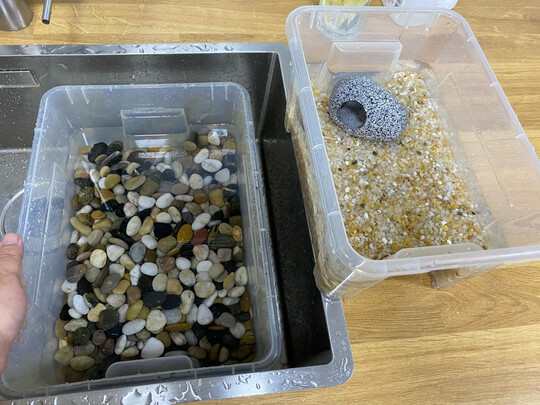 鱼缸鹅卵石