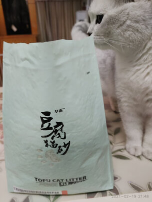 豆腐猫砂