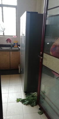 冰箱|客观评价容声BCD-646WD11HPA怎么样？上手三周说真相