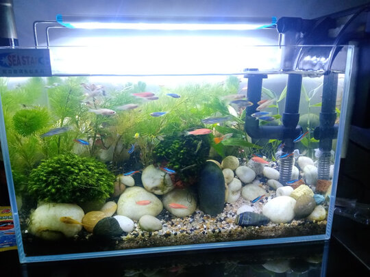 鱼缸过滤器