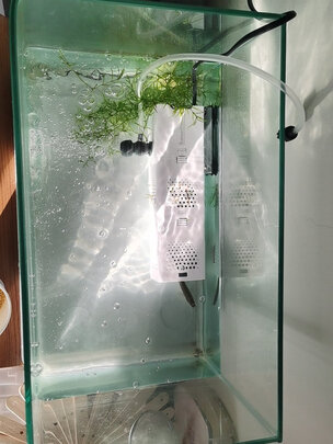 鱼缸水泵