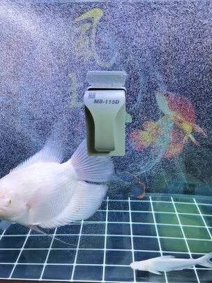 鱼缸刷磁力刷
