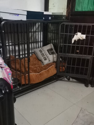 狗笼