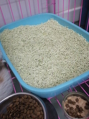 豆腐猫砂