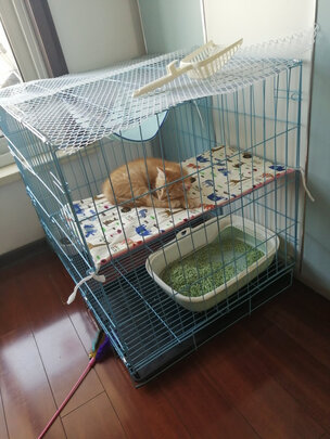  猫笼