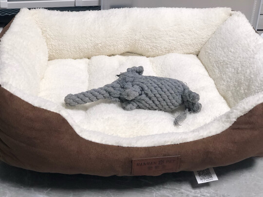 猫窝