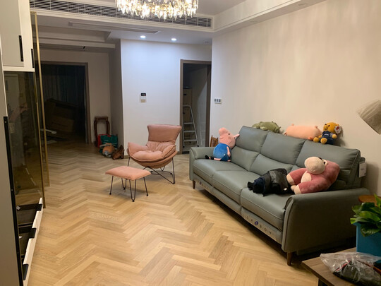 乐至宝GN.611是哪里生产的，值吗