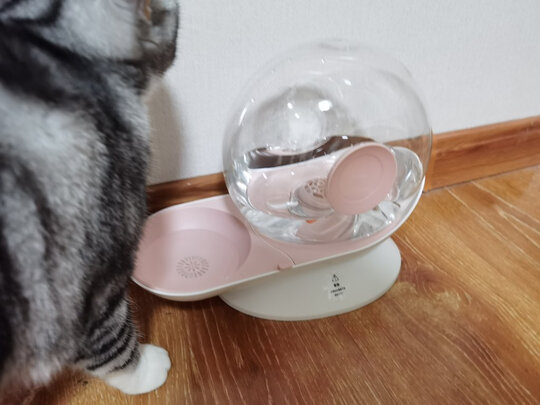 宠物饮水机