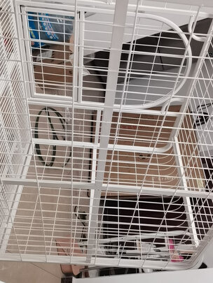  狗笼
