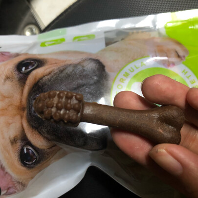 狗狗磨牙棒