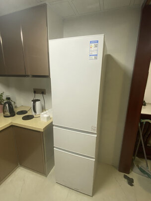 TCLR200L1-CZ芭蕾白冰箱|TCLR200L1-CZ芭蕾白冰箱独家揭秘评测真相,不看后悔!