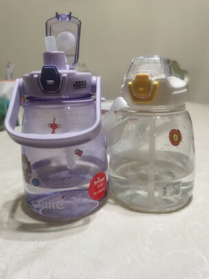运动水杯