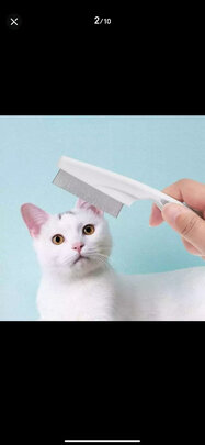 猫狗梳子