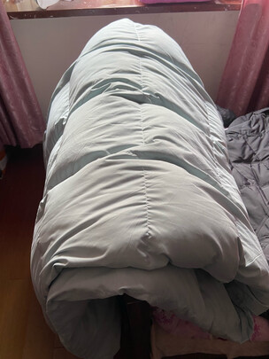 富安娜米菲尔·轻潮超柔鹅绒冬厚被 灰一个月后开始后悔了诉说原因