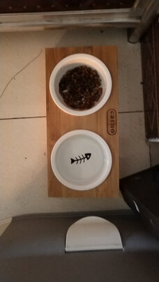 猫碗狗碗