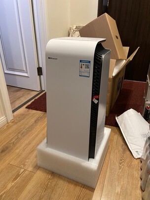 布鲁雅尔7440i空气净化器|报价参数布鲁雅尔7440i空气净化器质量怎么样?用后说体验真相？