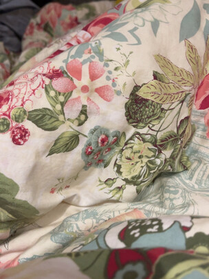 富安娜欢乐颂抗菌白鹅绒冬厚被评判质量差有依据吗？