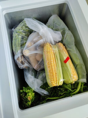 冰柜|用户揭秘海尔FCD-208XHT冰柜好吗,入手解密评测真相