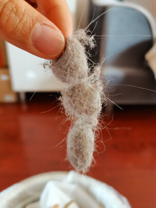 莱克A5（前车之鉴）有必要告诉大家真相