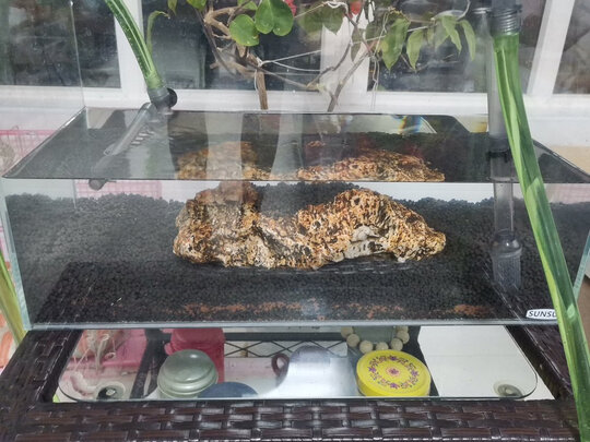 鱼缸过滤器