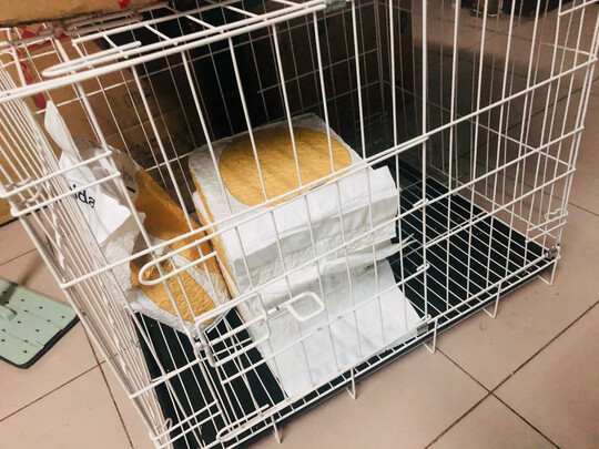 猫笼