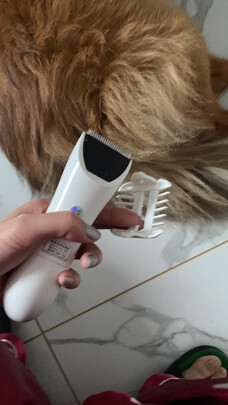 狗狗电推剪