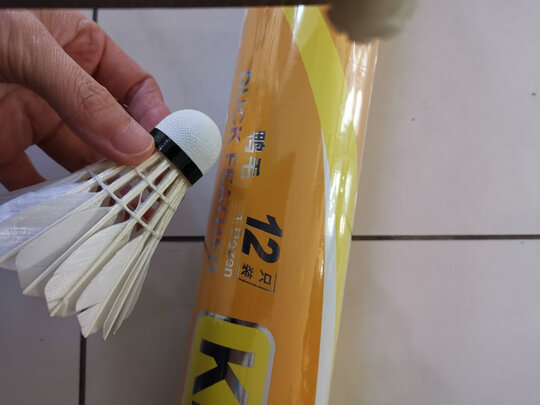 亚狮龙rsl4号羽毛球怎么样?为什么我后悔买晚了? - 井贤栋个人博客
