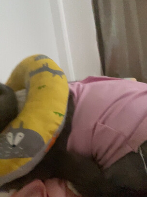 猫咪手术服