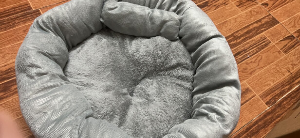 猫窝