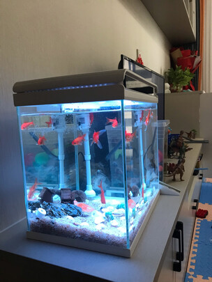 一:选购森森(sunsun)智能鱼缸建议