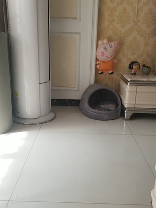 猫窝