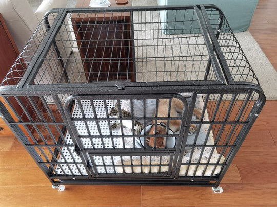 狗笼
