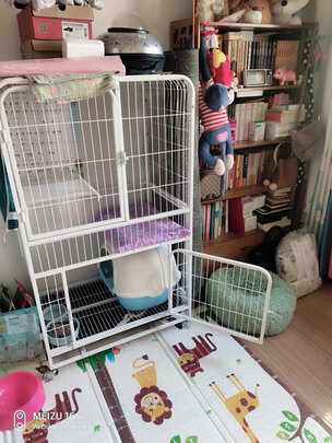  猫笼
