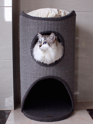 猫爬架