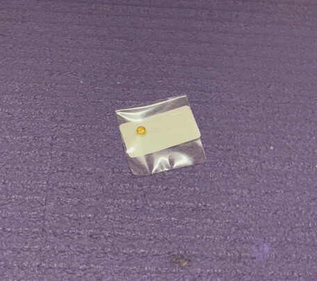 黄金豆豆