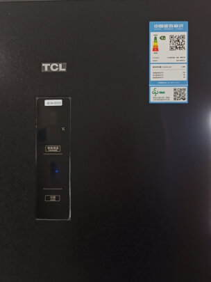 TCL BCD-256WPJD星玄青与TCL R315V5-D到底哪款好点，哪款容量比较大？哪个声音很轻 