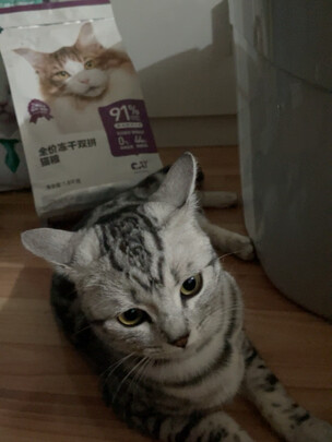 猫粮