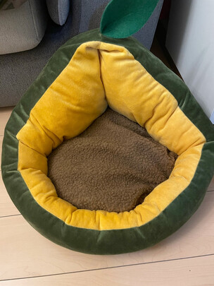 猫窝