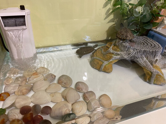 桌面鱼缸