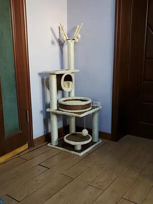 猫爬架