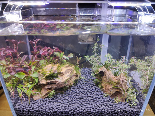 鱼缸灯led灯