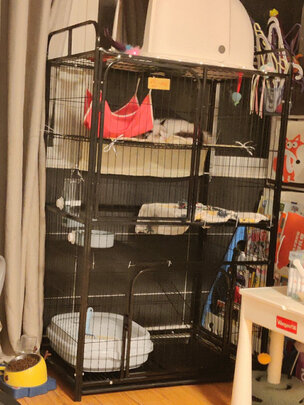 猫笼