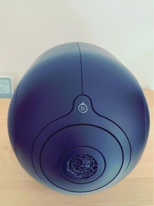 DEVIALETZP496（前车之鉴）有必要告诉大家真相