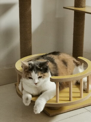 猫爬架